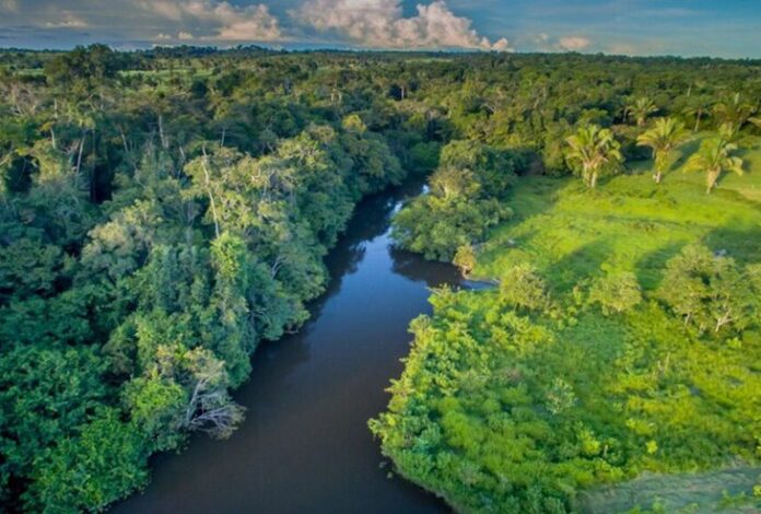 amazonia