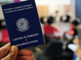 MS chega a 1,46 milhão de trabalhadores ocupados e tem 7º maior rendimento médio do país