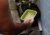 MS registra 8,8 mil casos prováveis de chikungunya e confirma 14 mortes pela doença