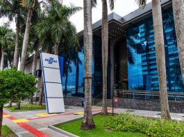 Sebrae/MS abre seleção para Agentes Locais de Inovação com bolsas de até R$ 6,5 mil