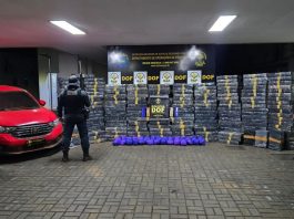 DOF apreende mais de 2,6 toneladas de drogas e recupera veículos roubados