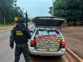 DOF prende dupla com agrotóxicos e cigarros contrabandeados