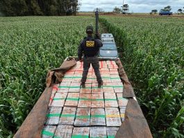 DOF apreende mais de 6 toneladas de maconha após perseguição em Dourados