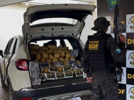 DOF prende homem com mais de R$ 1,4 milhão em drogas e recupera veículo furtado