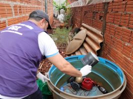 COE aponta que houve 8.655 notificações de Chikungunya com 3.948 confirmações em Dourados
