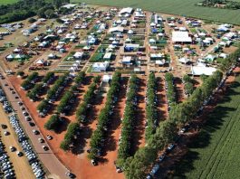 Showtec 2026 reúne pesquisa, tecnologia e grandes debates para o Agro em Mato Grosso do Sul