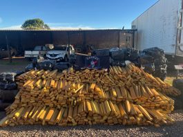Garras apreende mais de 3,9 toneladas de maconha em área rural de Campo Grande