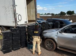 PRF apreende mais de 7 toneladas de maconha em três ações nas rodovias de MS