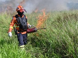 Para conservar e proteger biomas, Governo de MS realiza técnica de queima prescrita em parque estadual