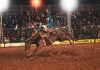 60ª Expoagro: rodeio termina com arena completamente lotada e definição dos campeões