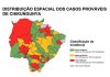 Chikungunya está presente em 76 dos 79 municípios de Mato Grosso do Sul